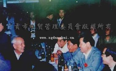 1995�f��ͬ�Ĵ���ؕ���I(l��ng)��(d��o)һ���^��